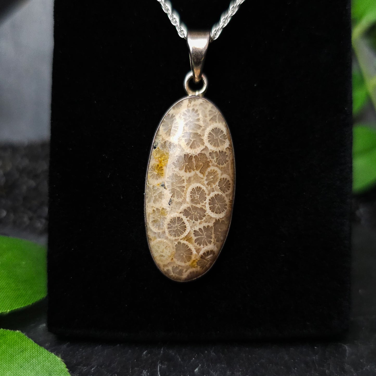 Fossilised Coral Pendant No. 10
