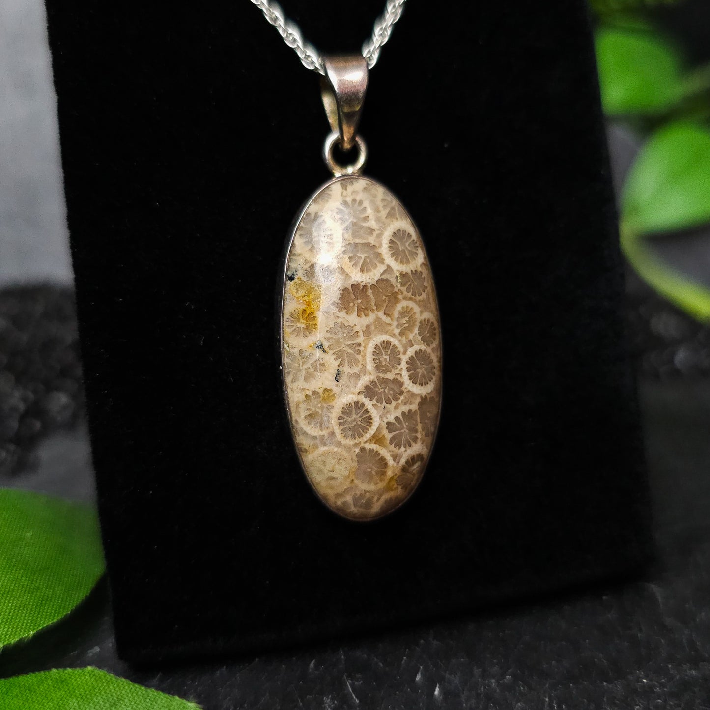 Fossilised Coral Pendant No. 10