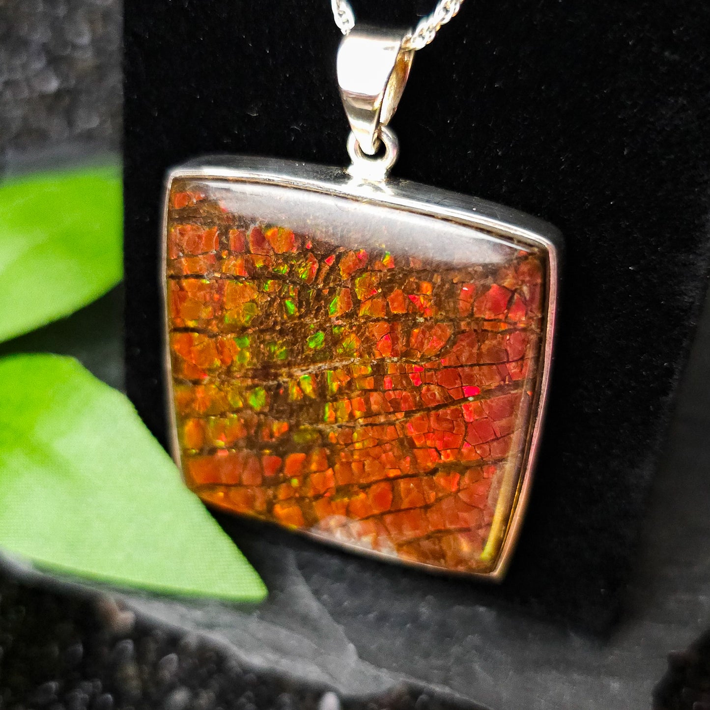 Ammolite Pendant No.573