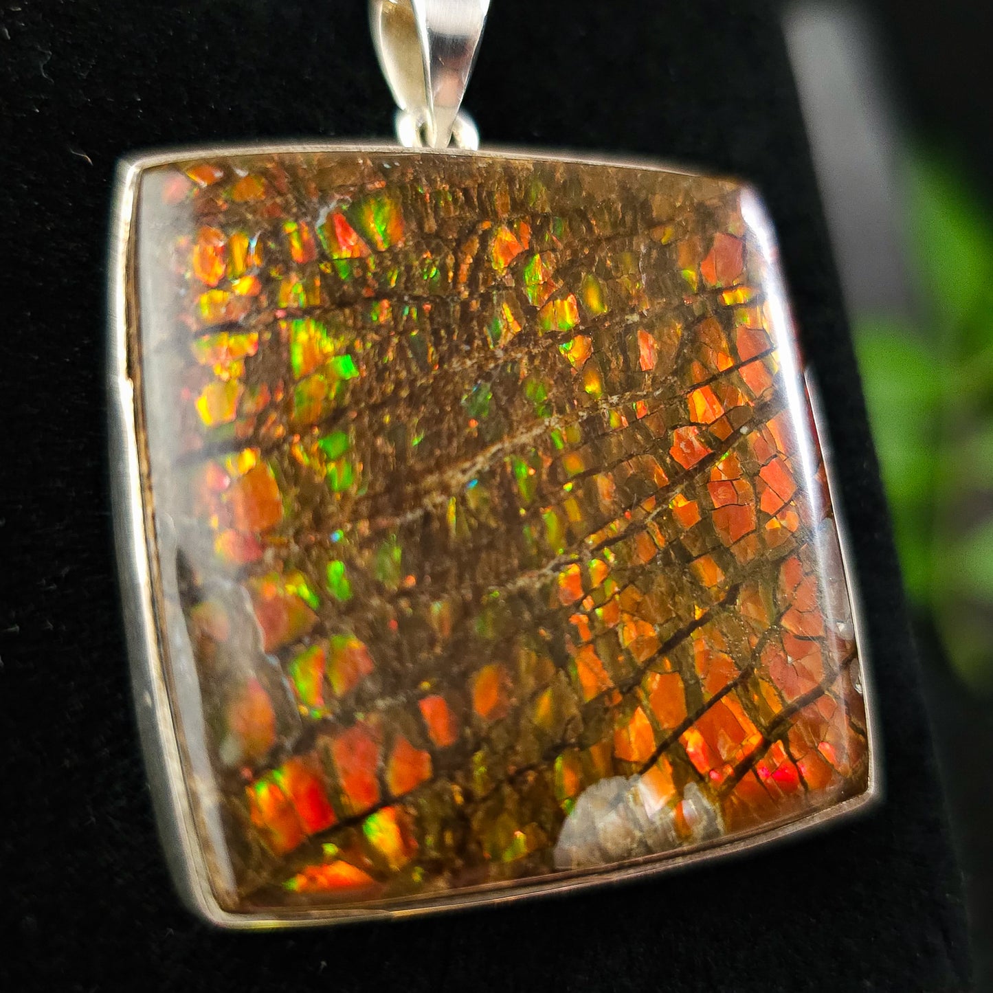 Ammolite Pendant No.573