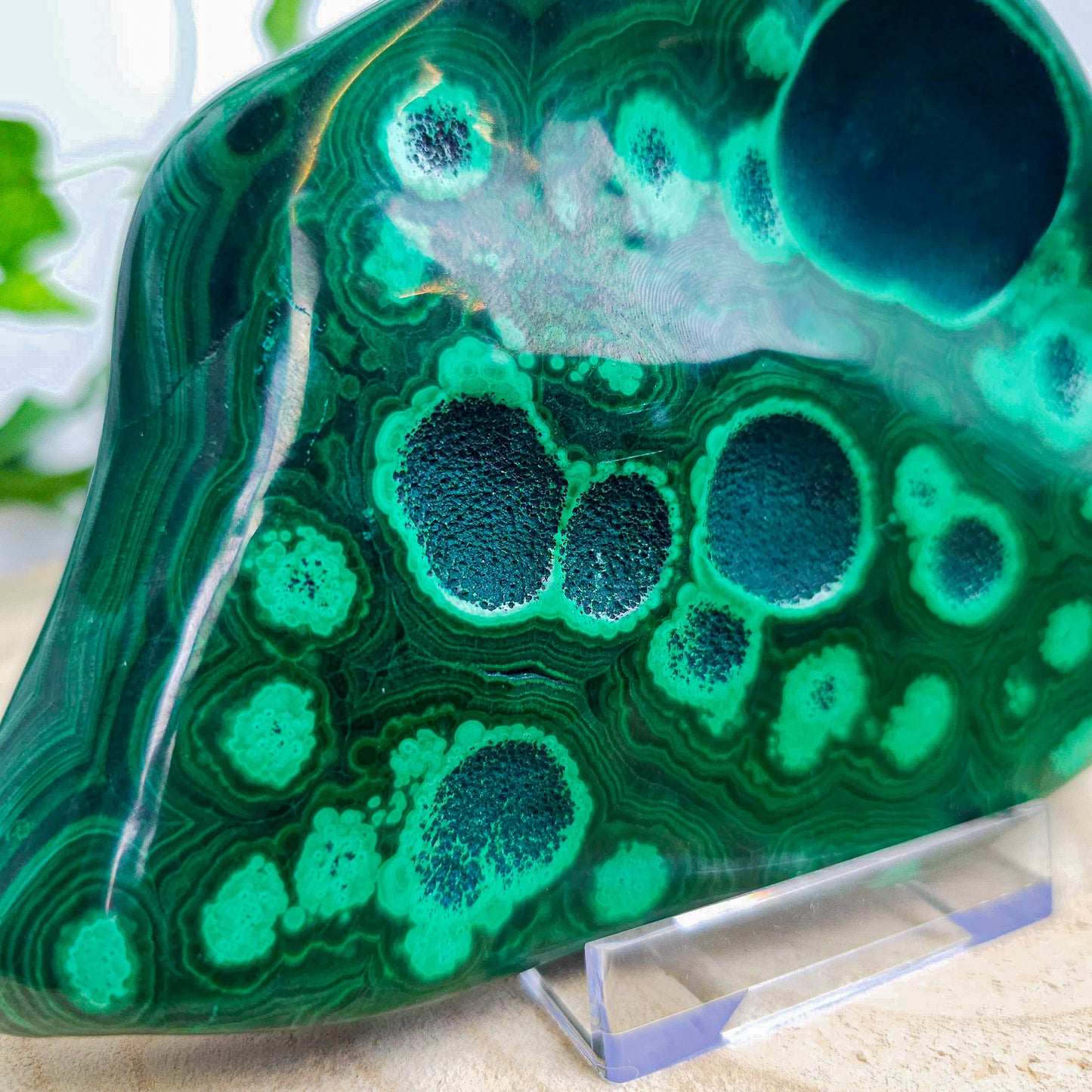 Malachite Freeform
