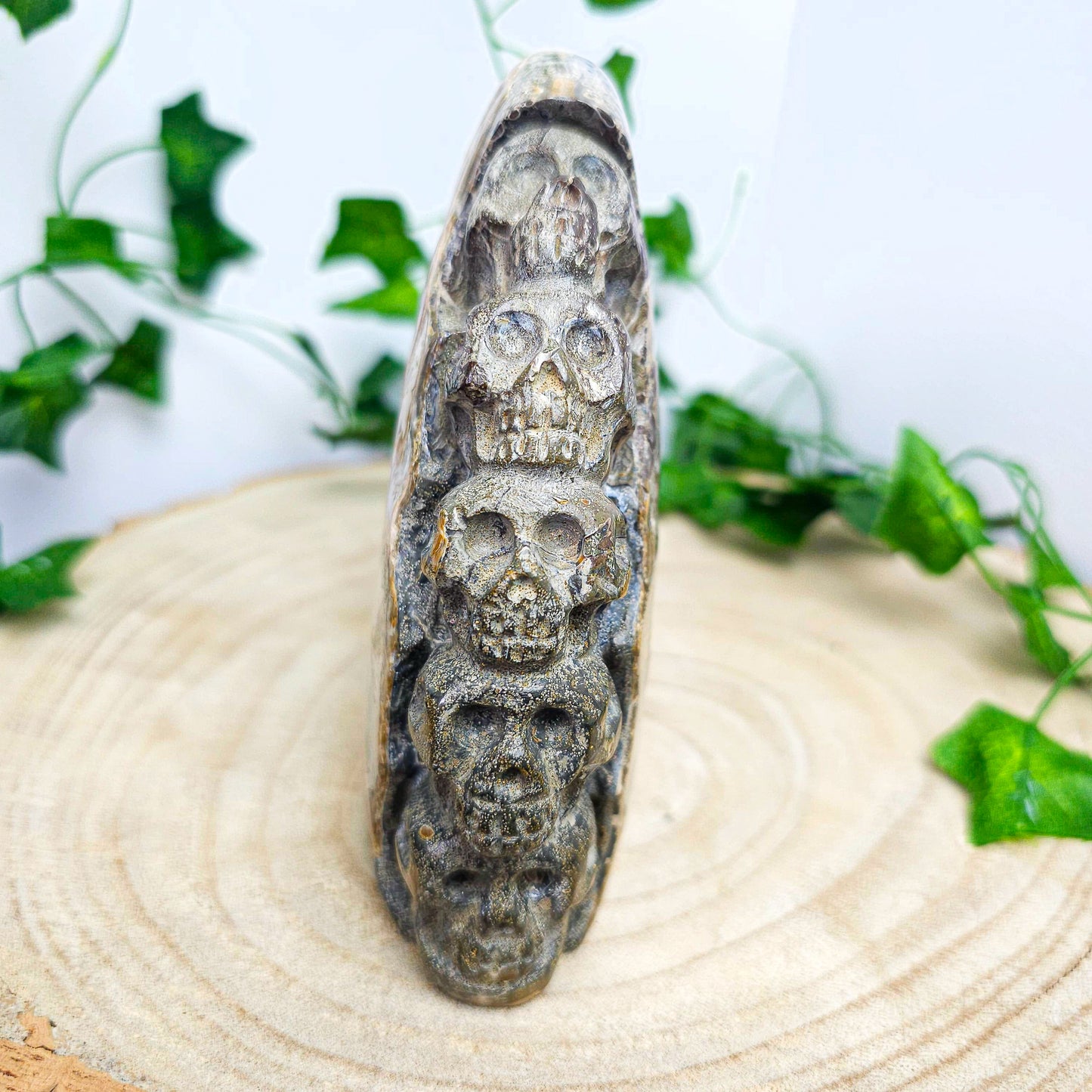 Ammonite Shell with Skull Carvings
