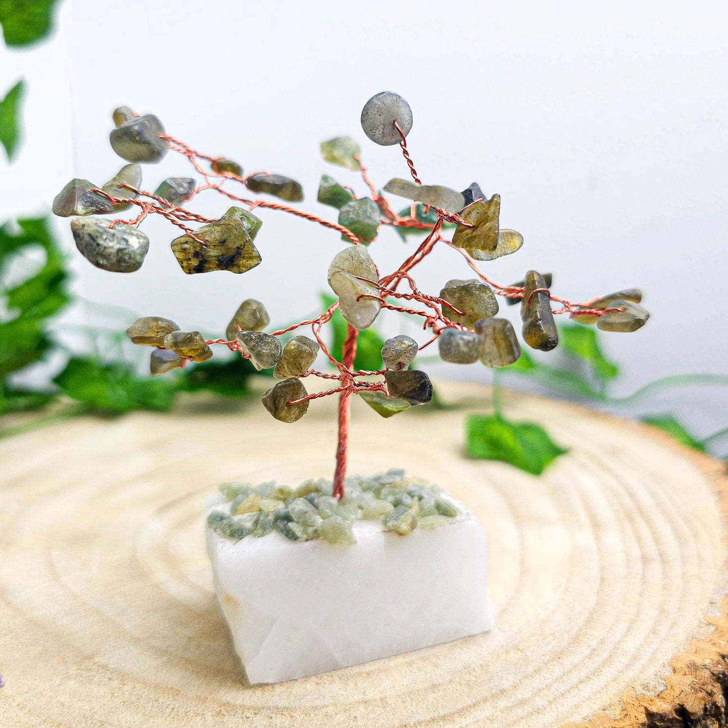 Chip stone Trees