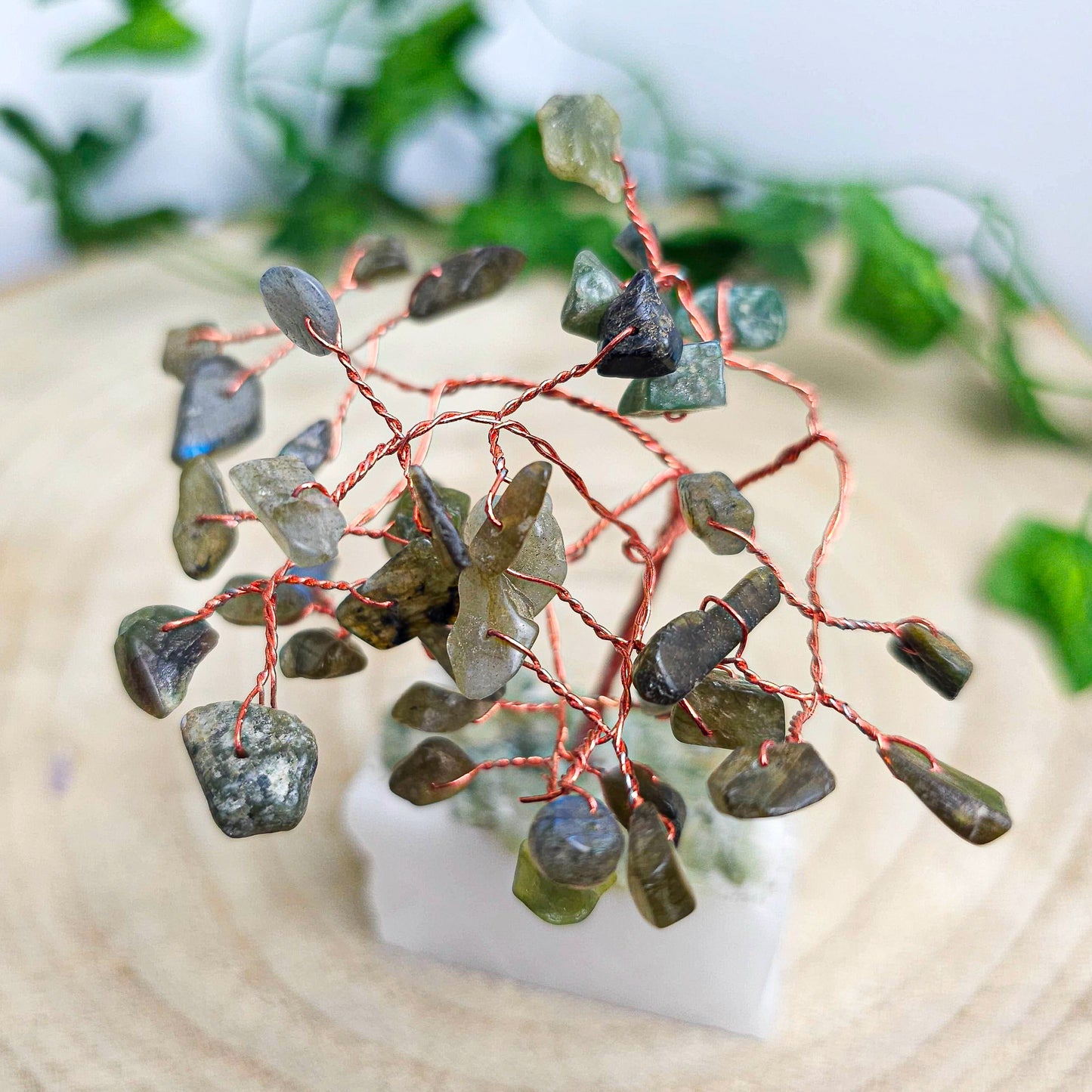 Chip stone Trees