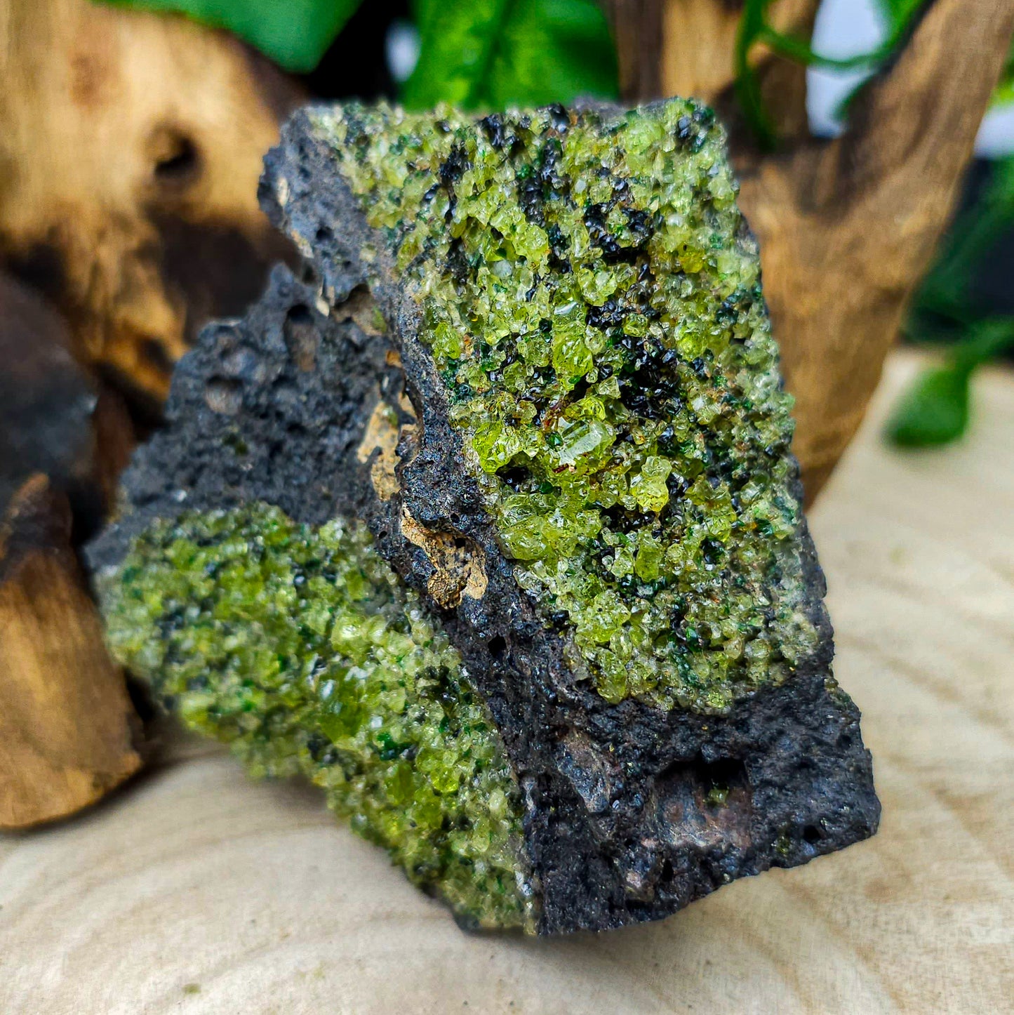 Raw Peridot on Lava Rock