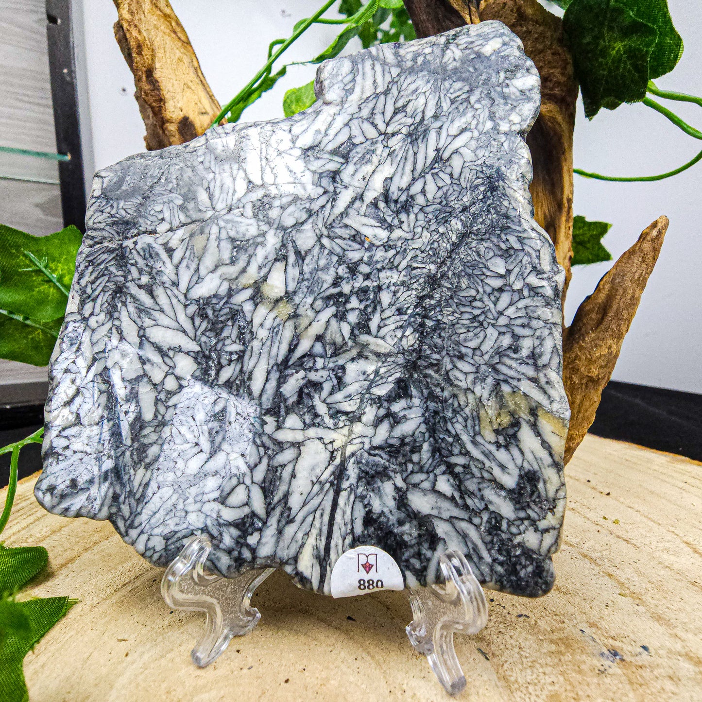 Pinolith Slices
