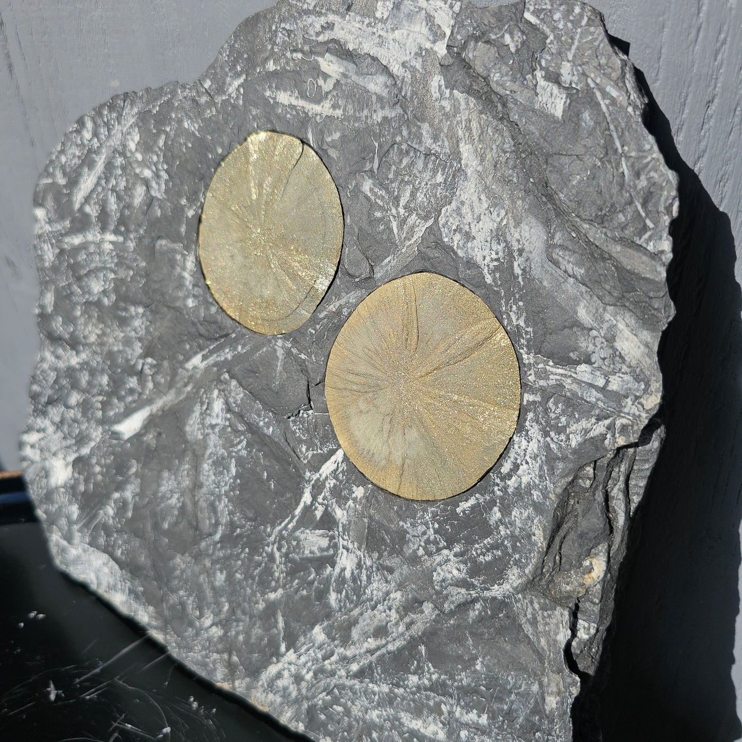 Pyrite Suns