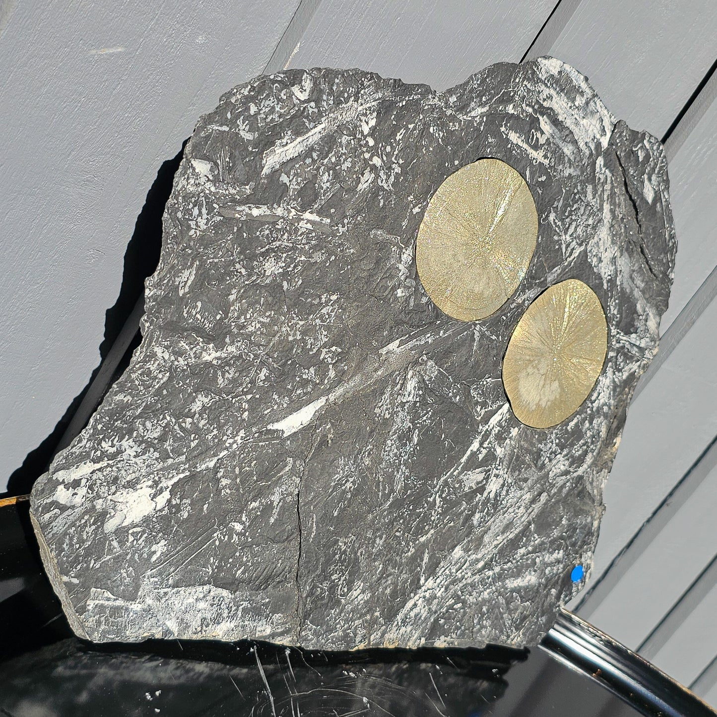 Pyrite Suns