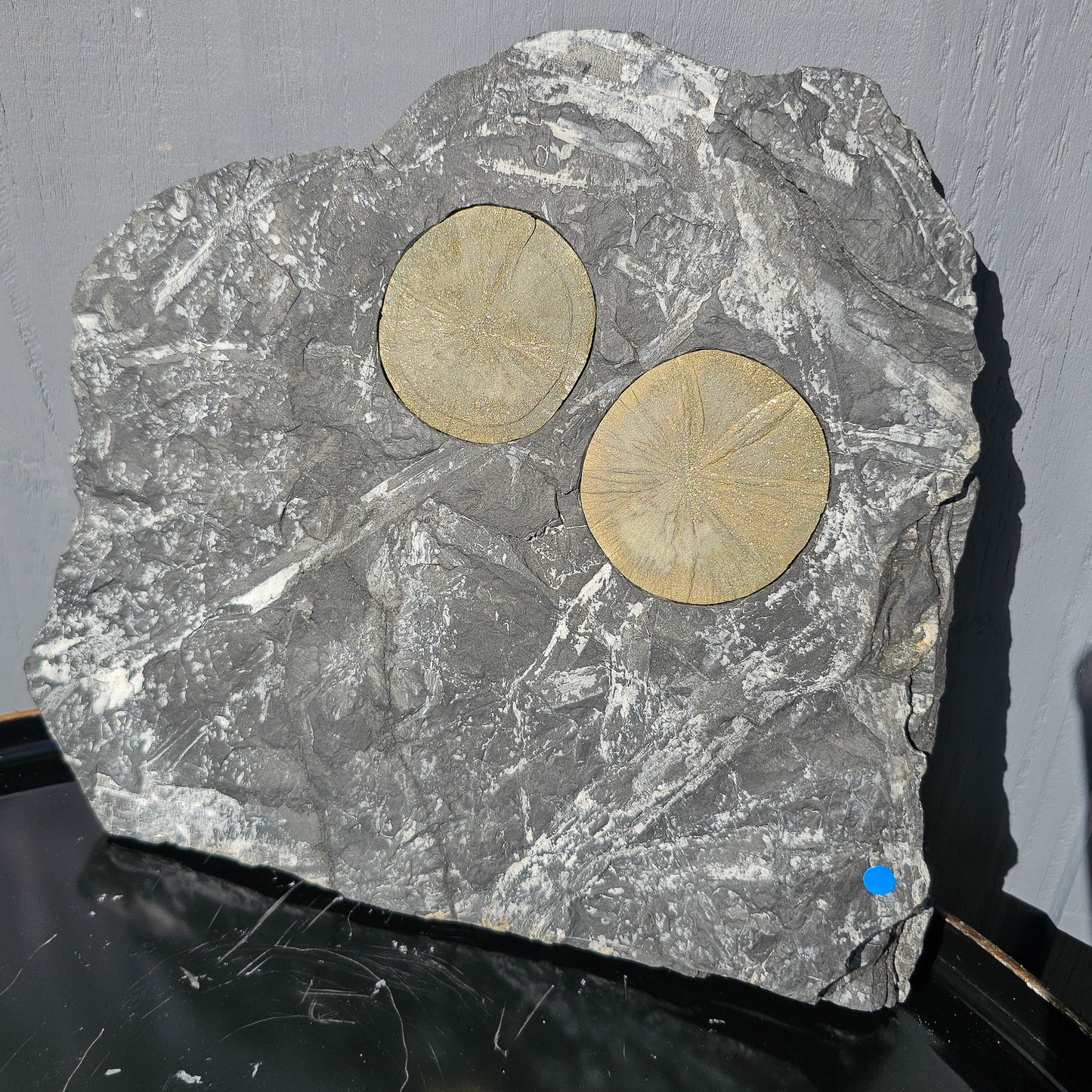 Pyrite Suns