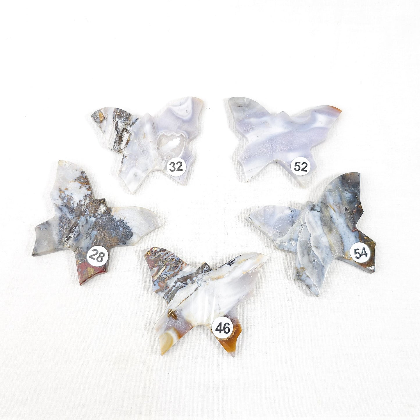 Messy Moss Butterfly's