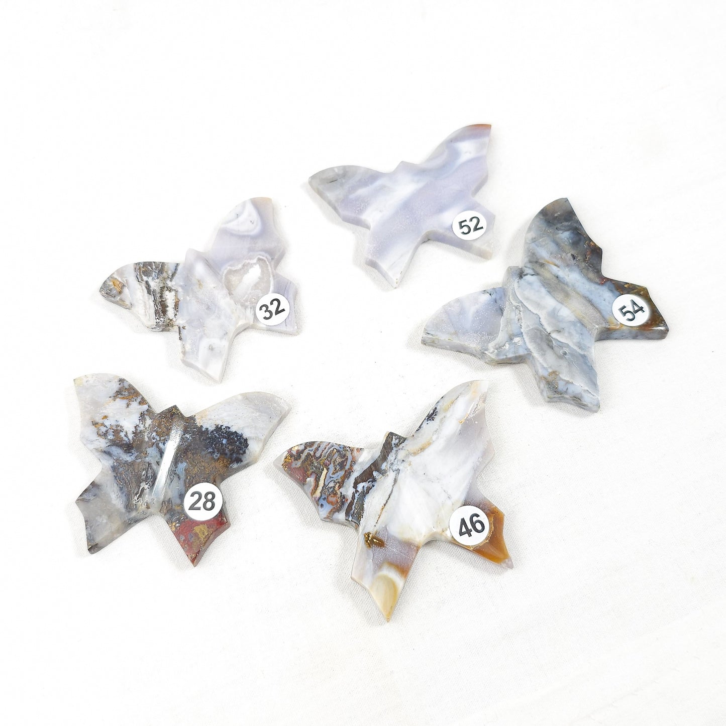 Messy Moss Butterfly's