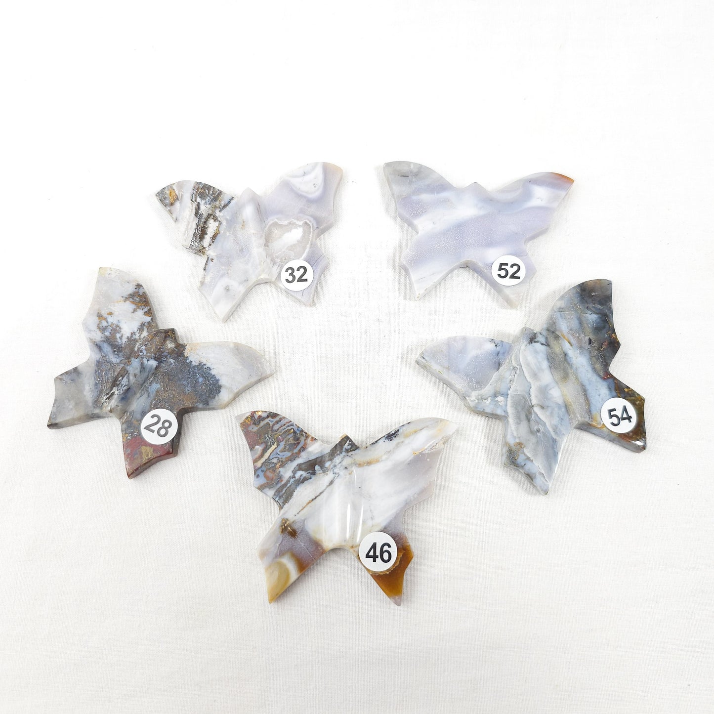 Messy Moss Butterfly's
