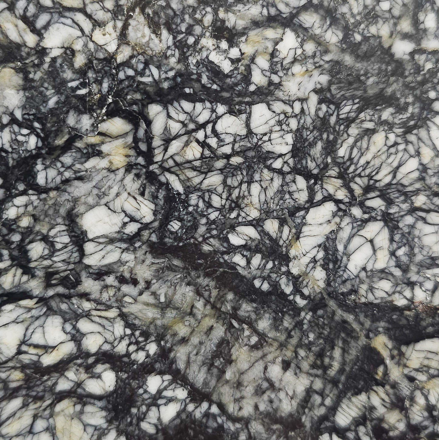 Pinolith Slice