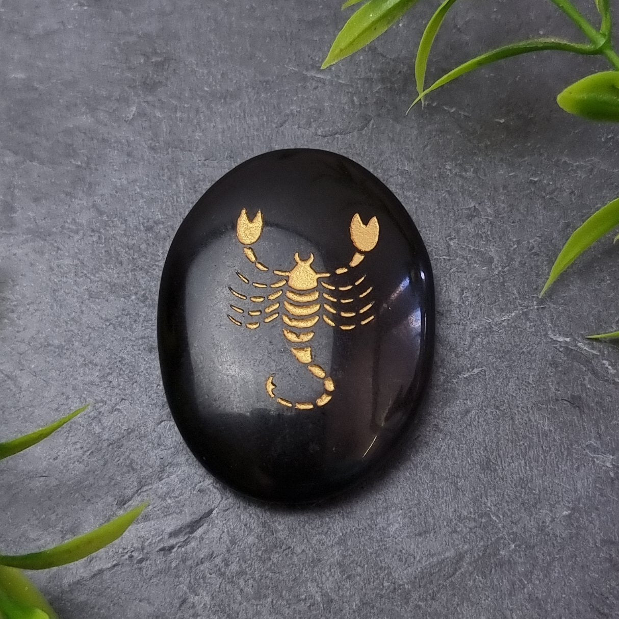 Zodiac Palm Stone
