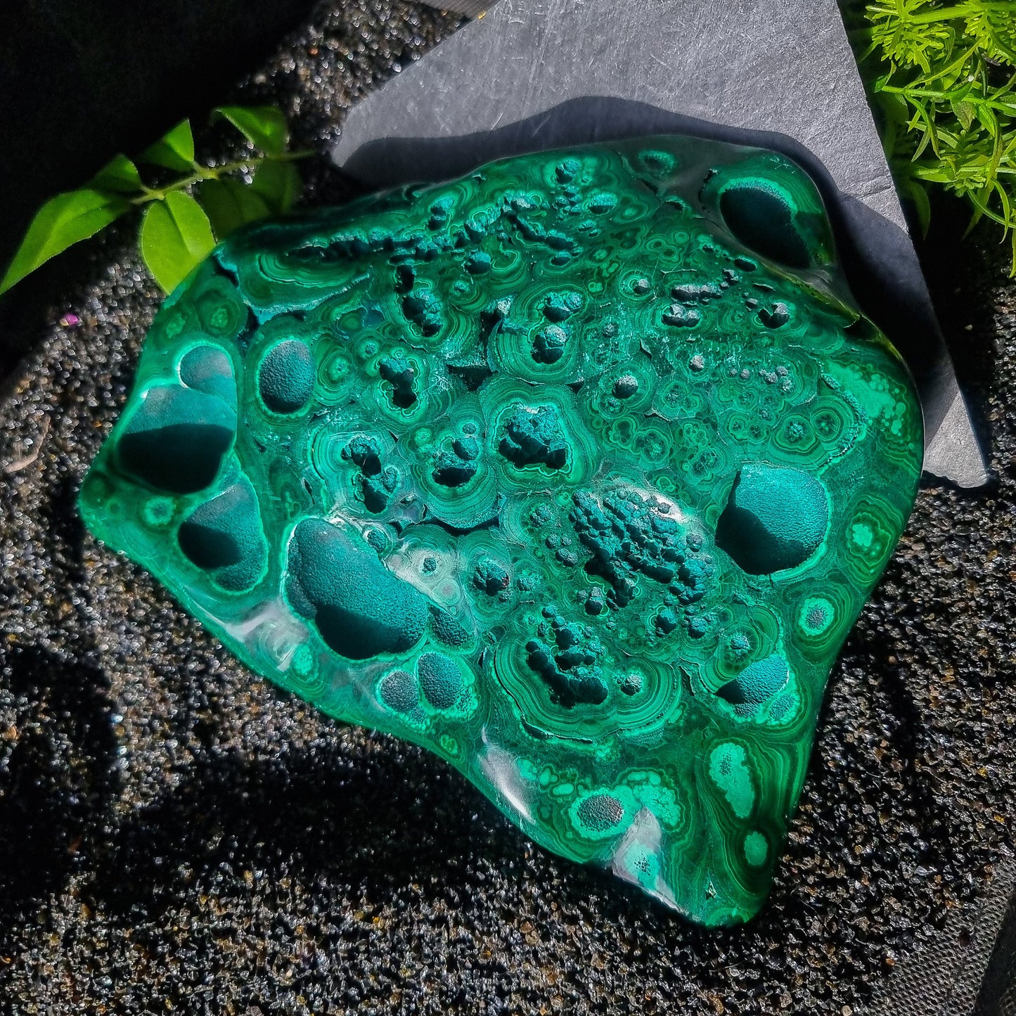 Polished Malachite statement piece