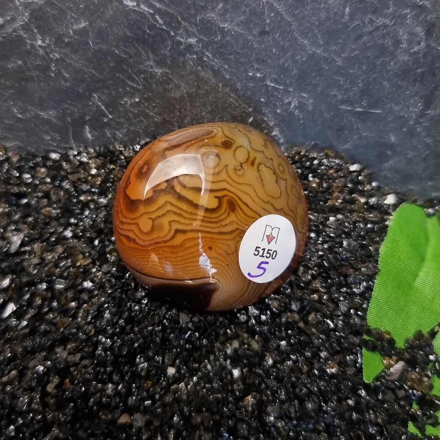 Madagascan Agate Pebbles