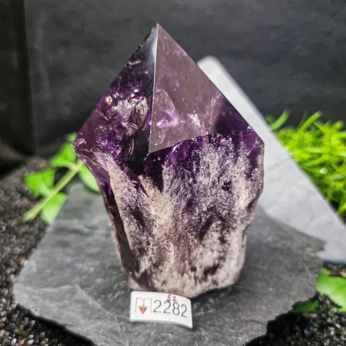 Bahia Amethyst Generator