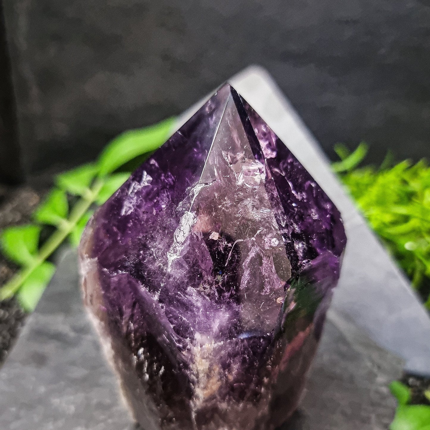 Bahia Amethyst Generator