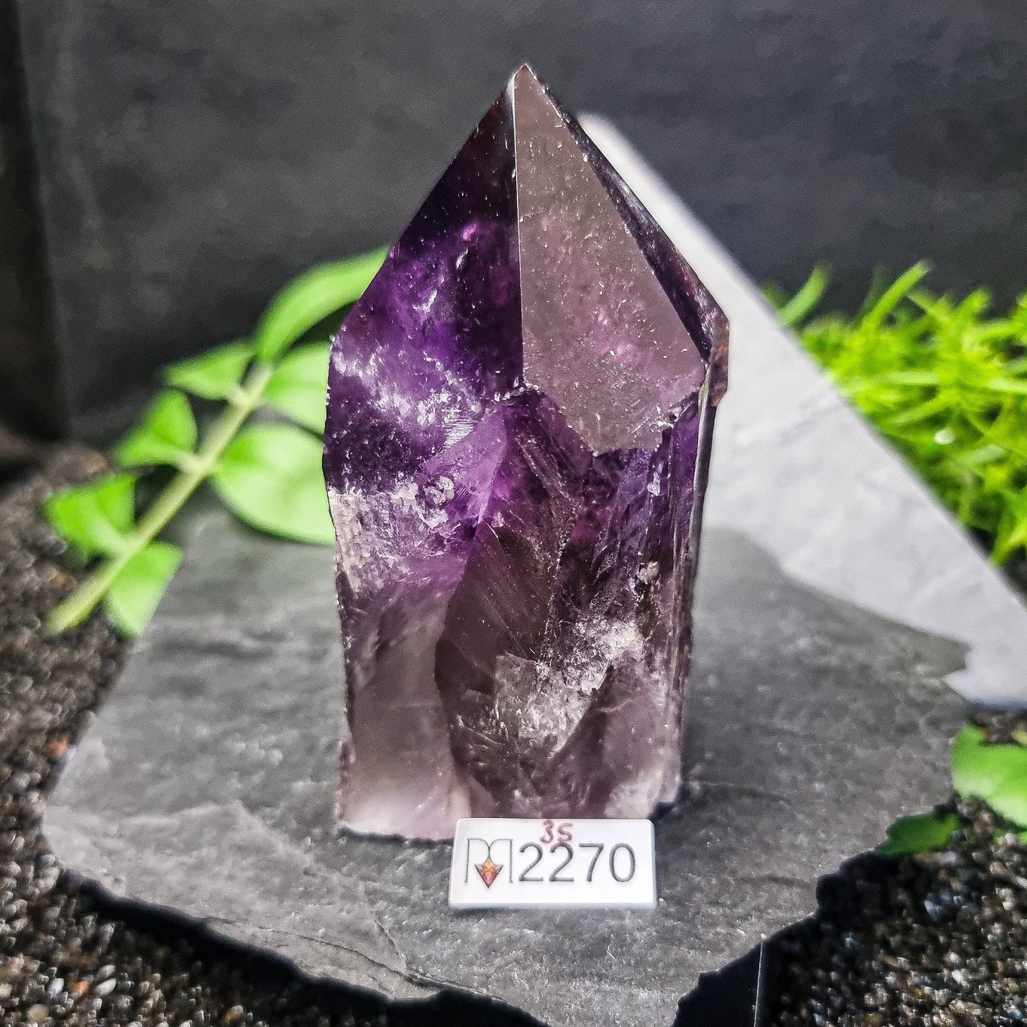 Bahia Amethyst Generator