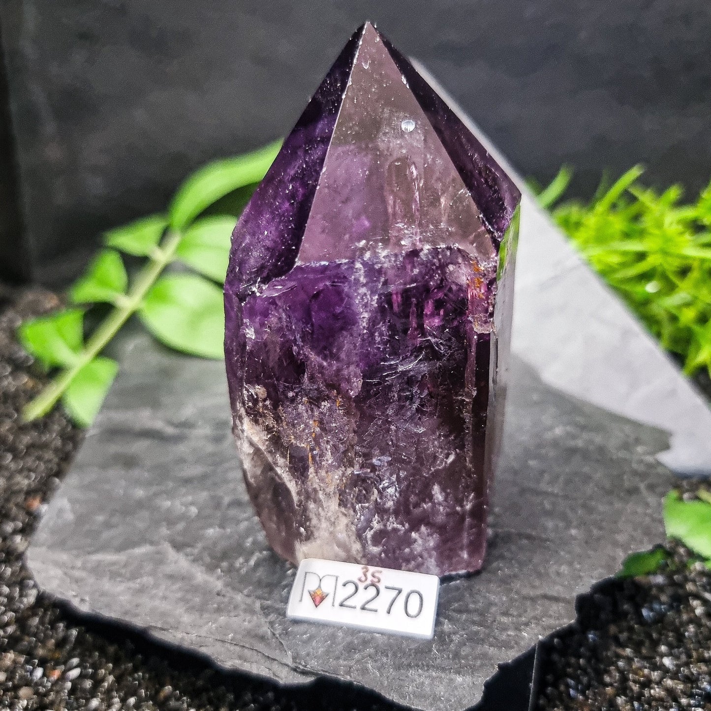 Bahia Amethyst Generator