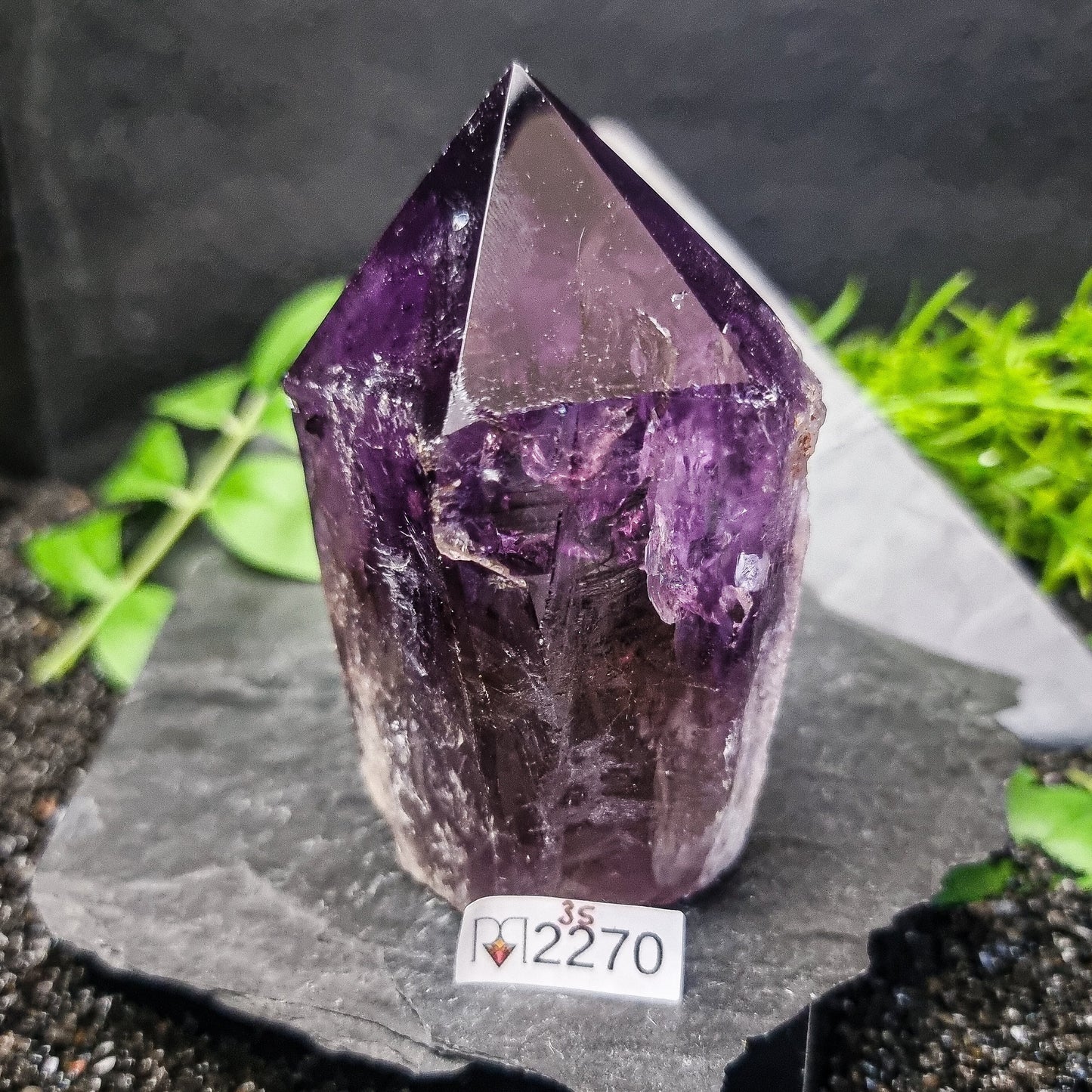 Bahia Amethyst Generator