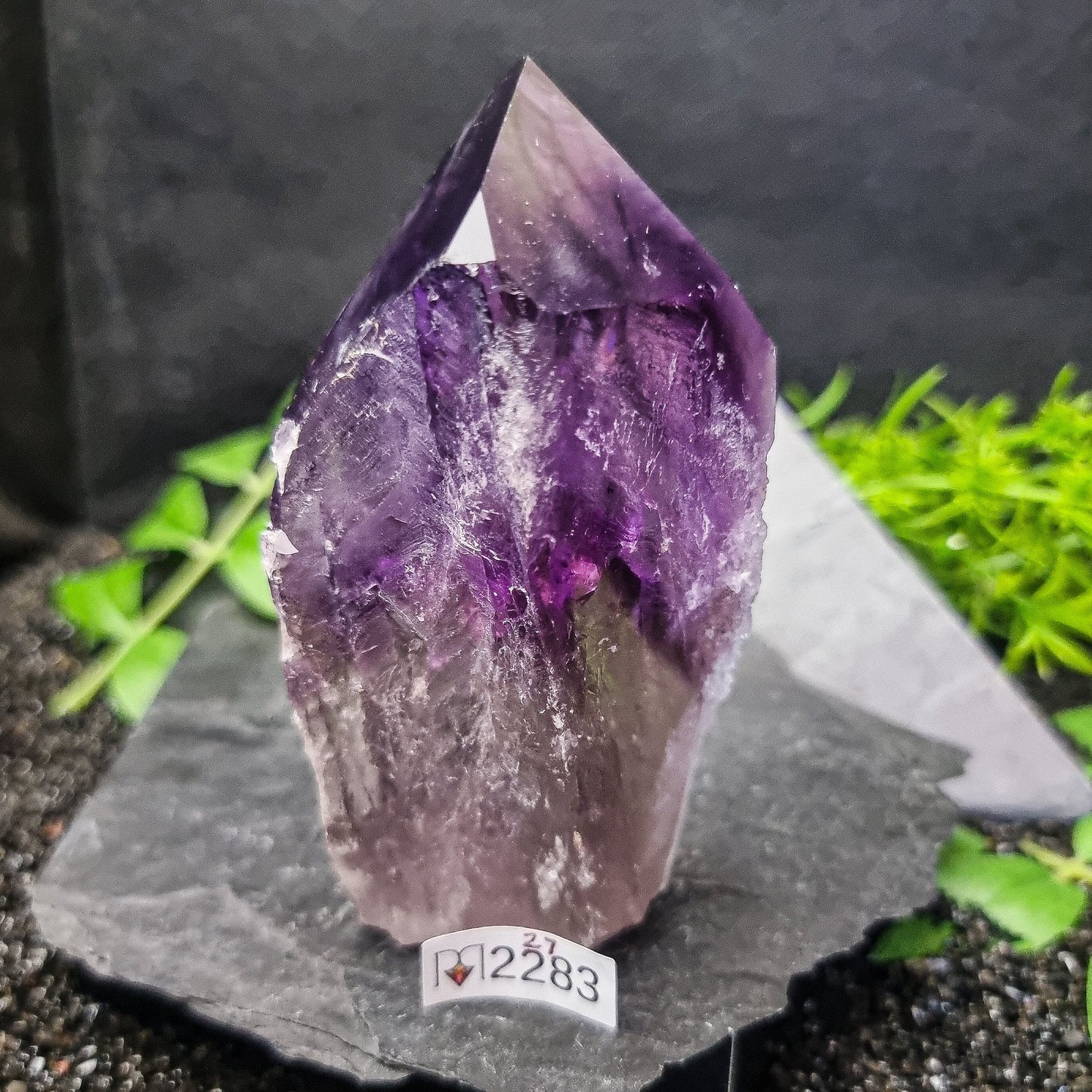 Bahia Amethyst Generator