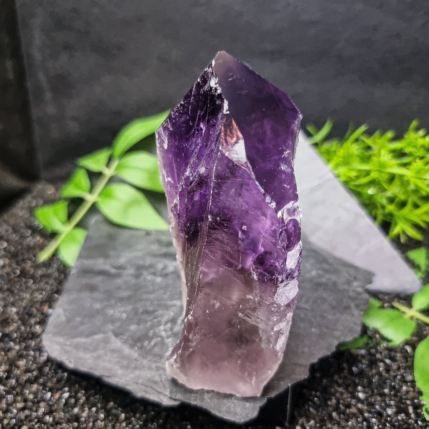 Bahia Amethyst Generator