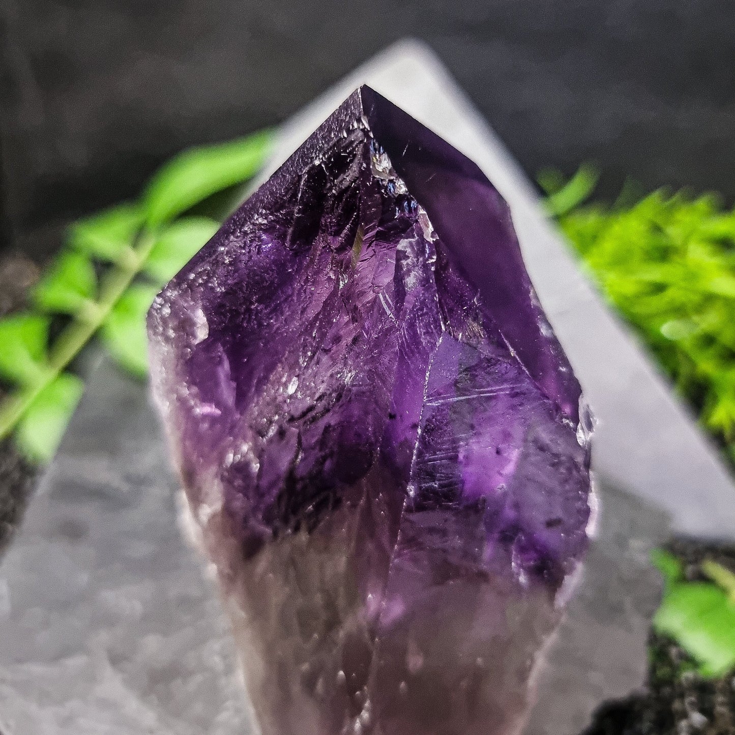 Bahia Amethyst Generator