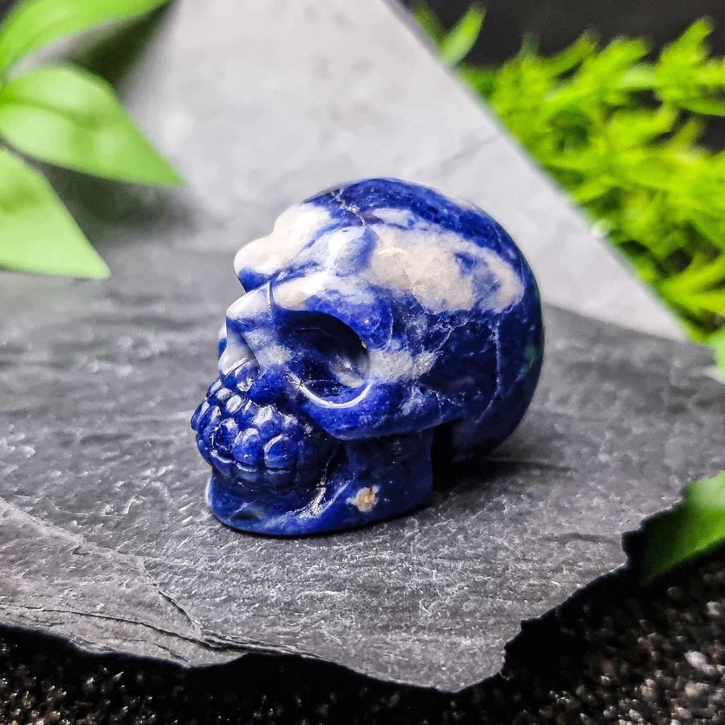 Skull Carvings (Assorted)
