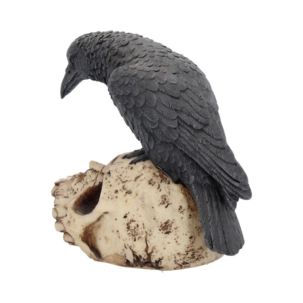 Ravens Remains (13cm)