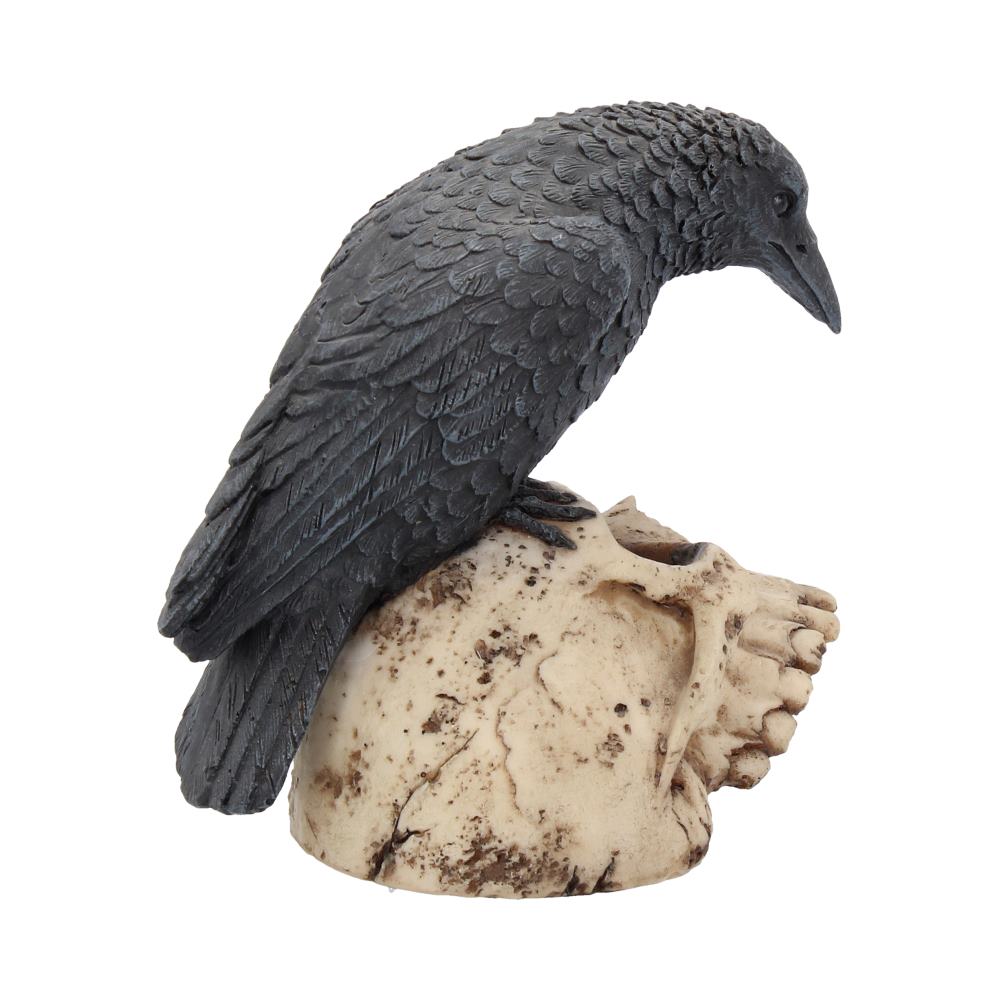 Ravens Remains (13cm)