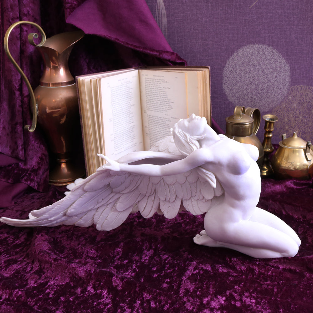 Angels Freedom