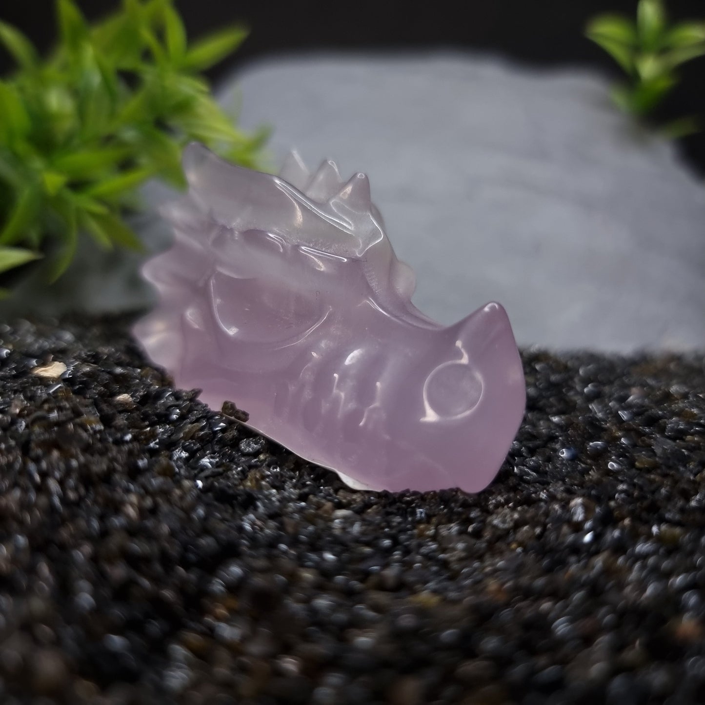 Fluorite Dragon Skull 5cm (Purple)