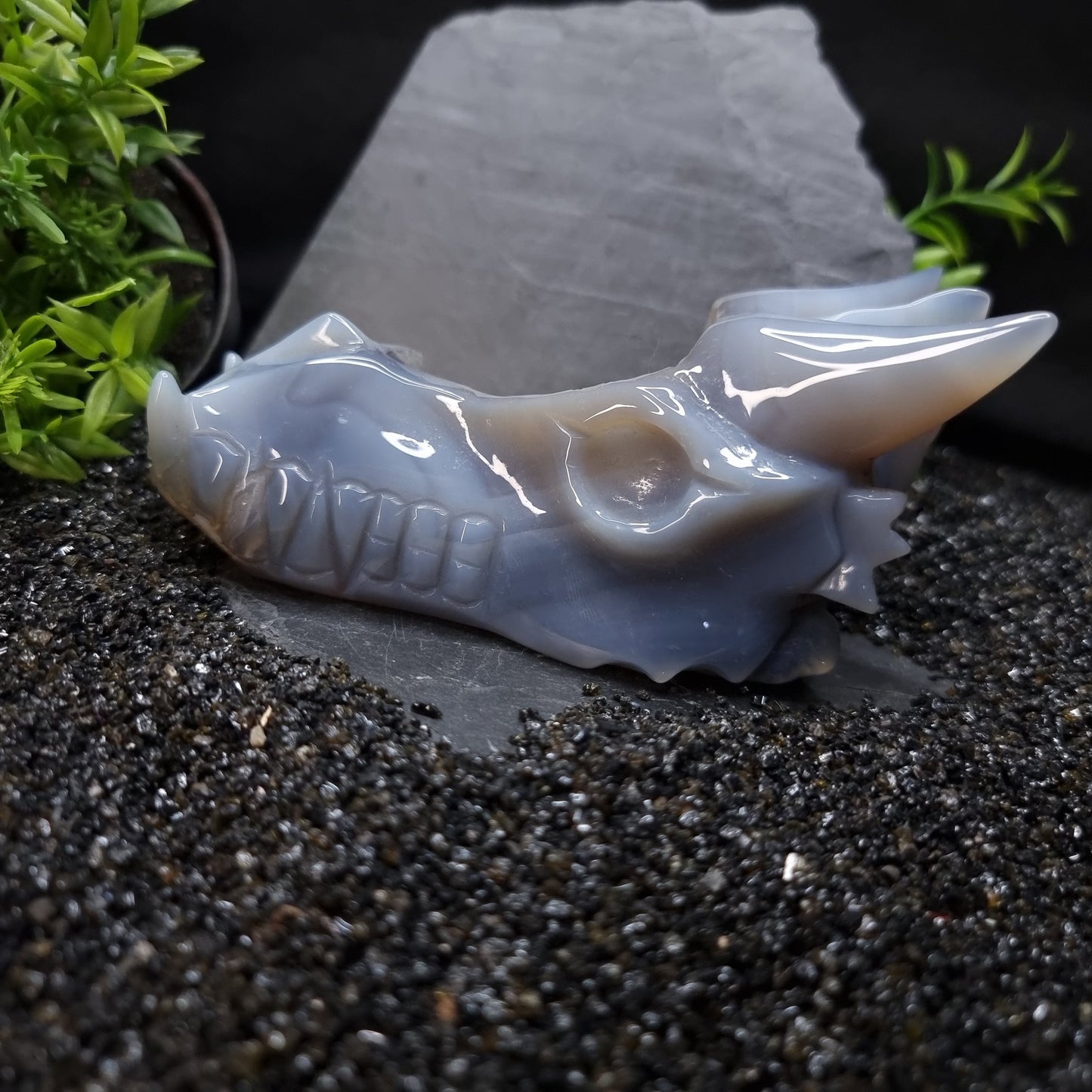 Agate Dragon Skull 13cm