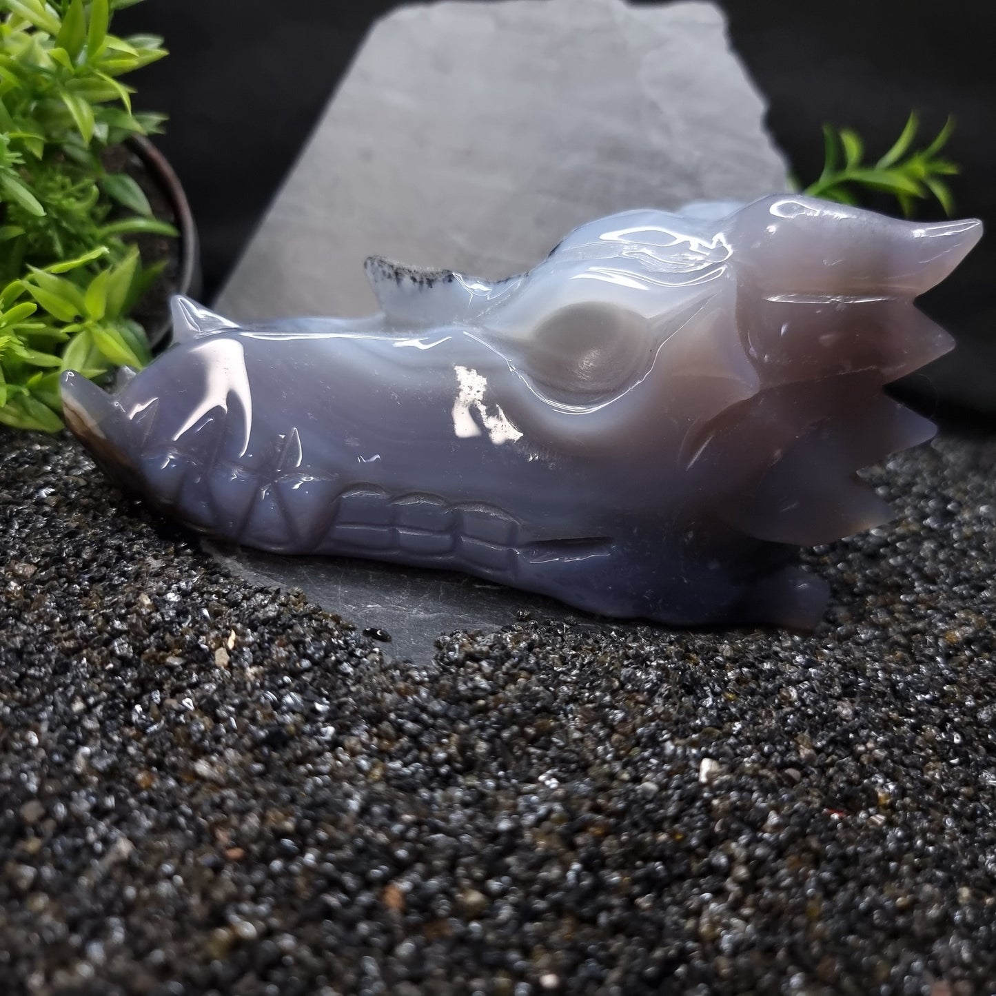 Agate Dragon skull 14cm