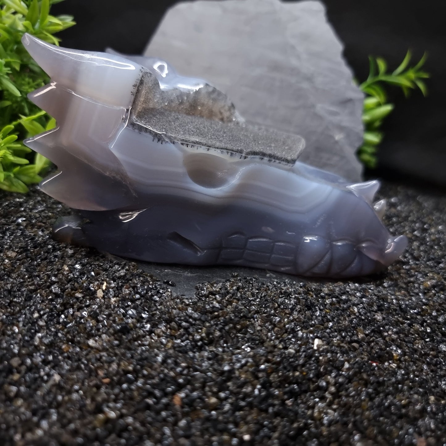Agate Dragon skull 14cm