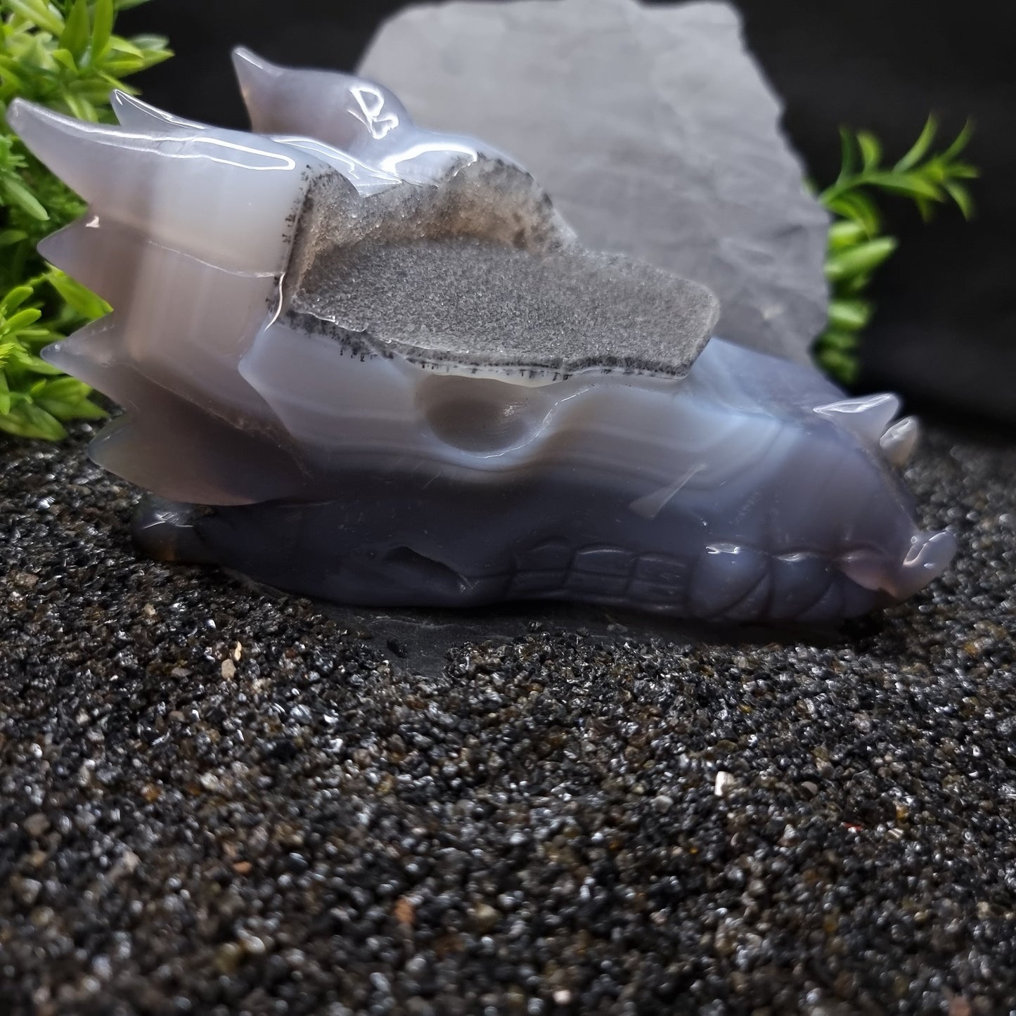 Agate Dragon skull 14cm