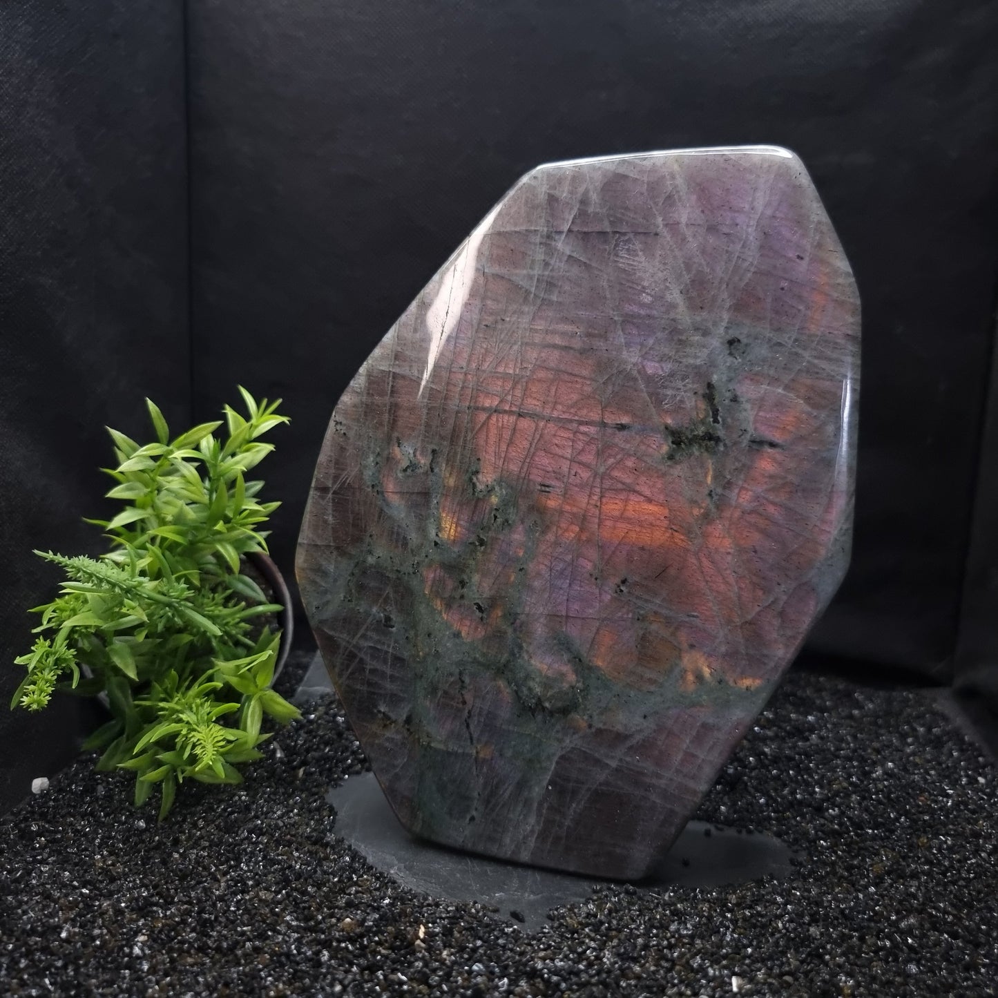 Labradorite Purple Flash