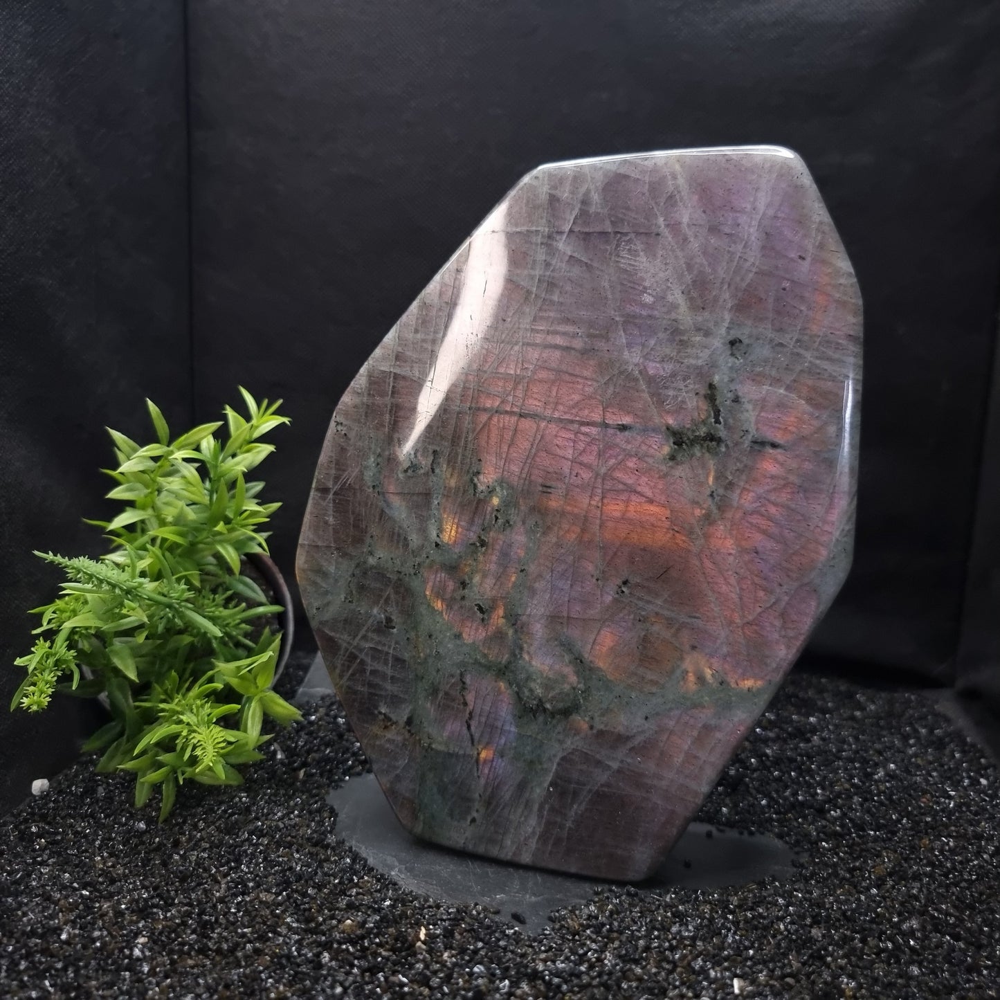 Labradorite Purple Flash