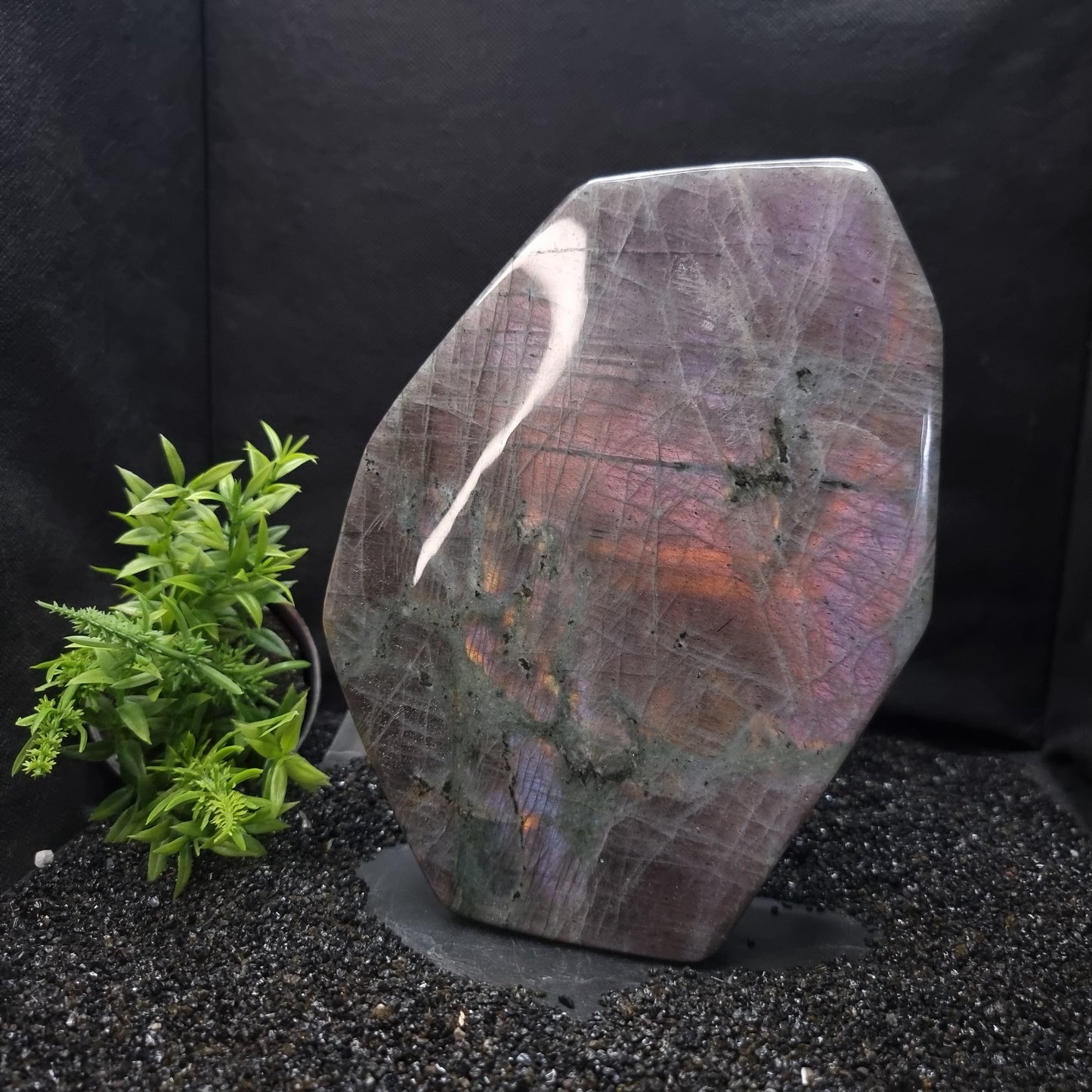 Labradorite Purple Flash