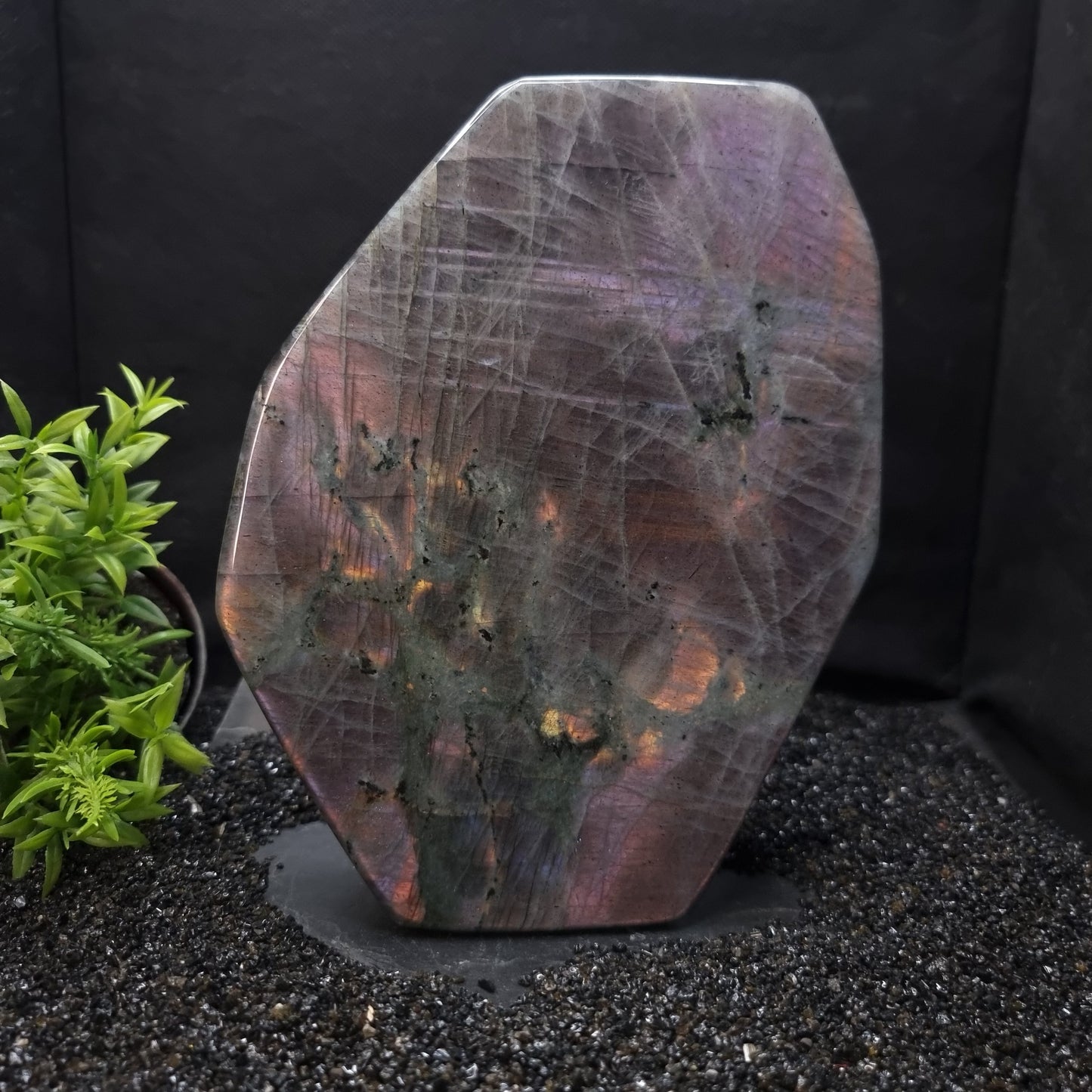 Labradorite Purple Flash
