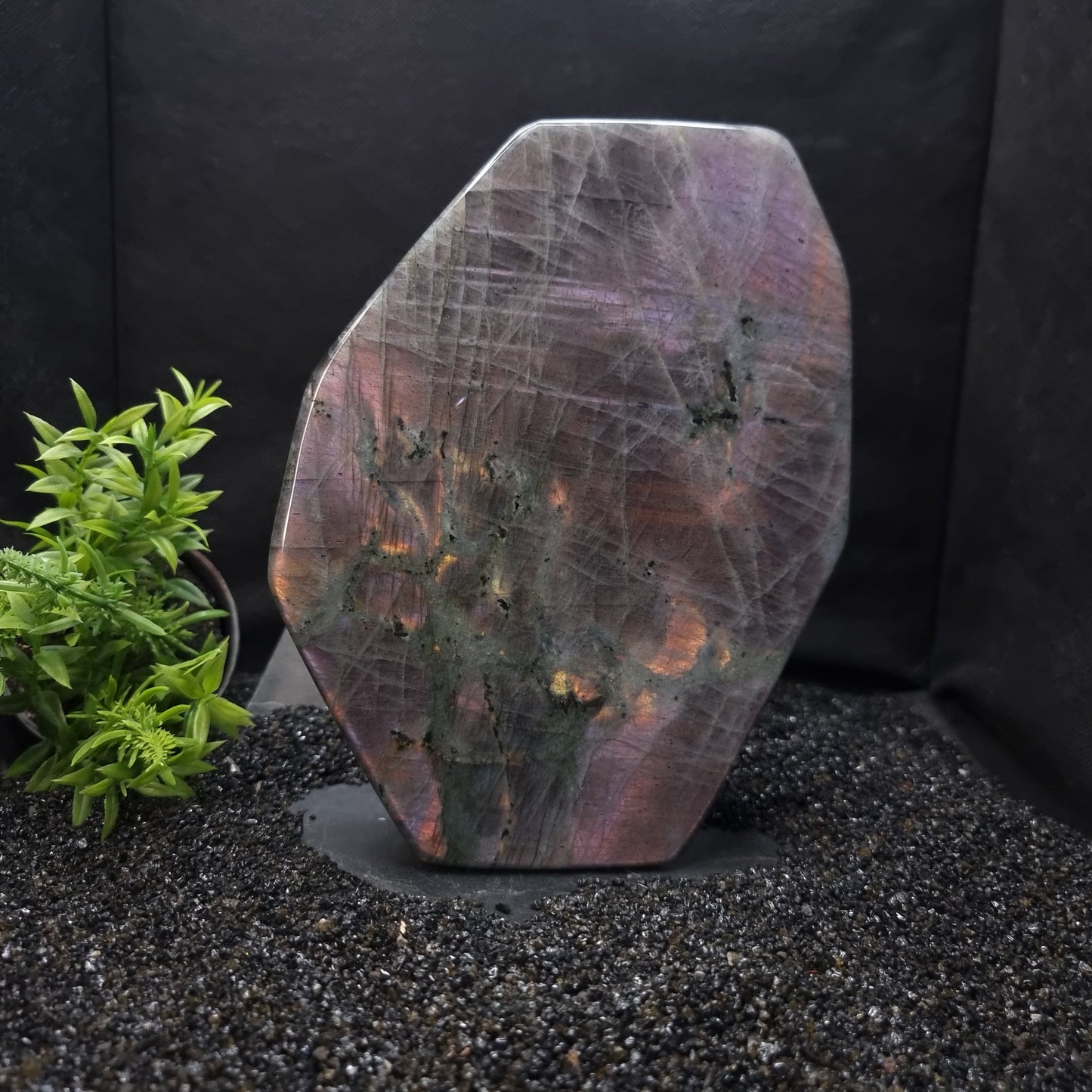 Labradorite Purple Flash