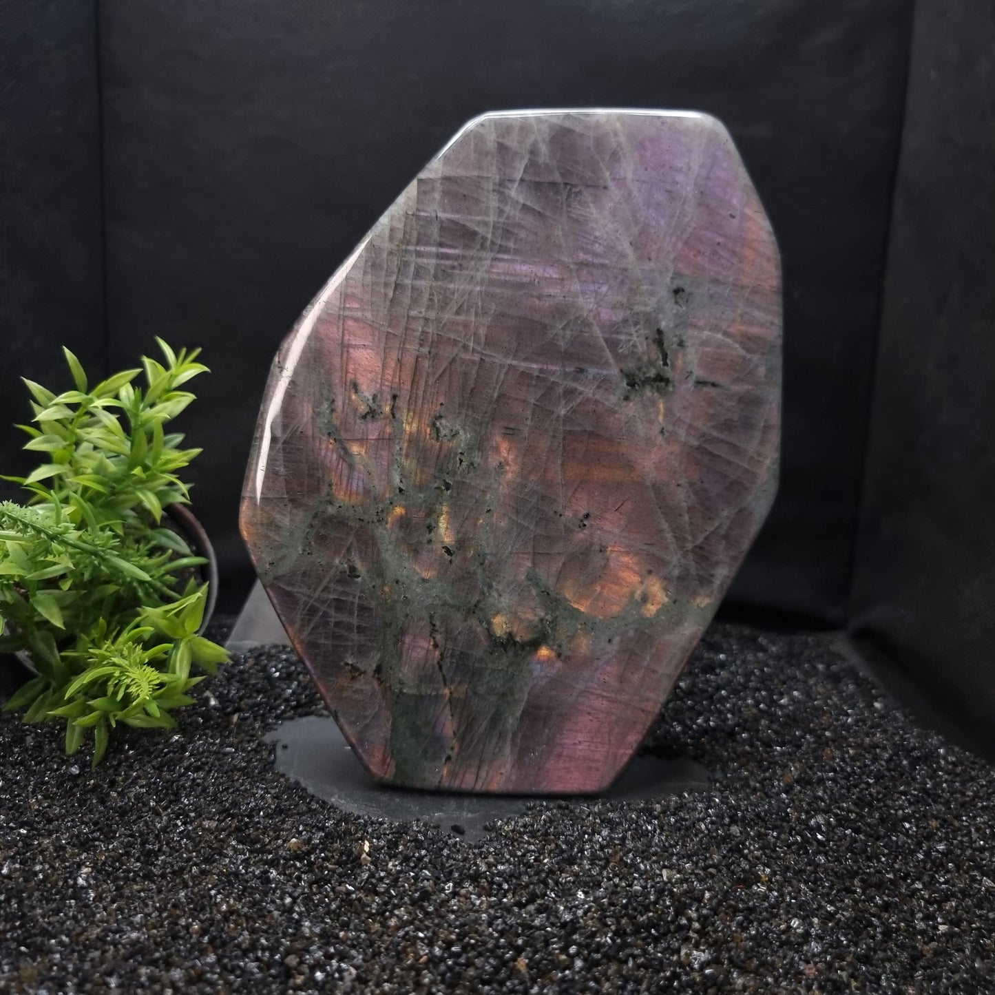 Labradorite Purple Flash