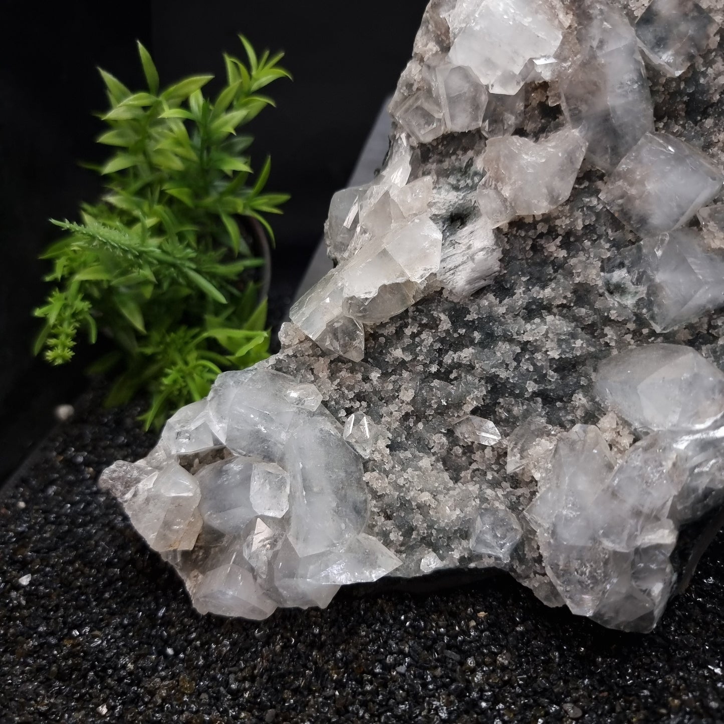 Apophylite Cluster