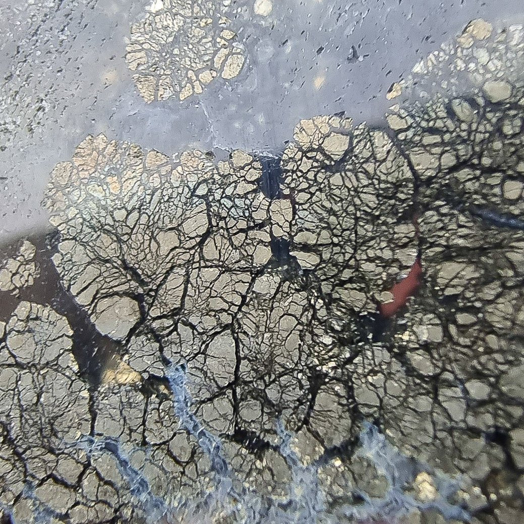 Pyrite in Chalcedony