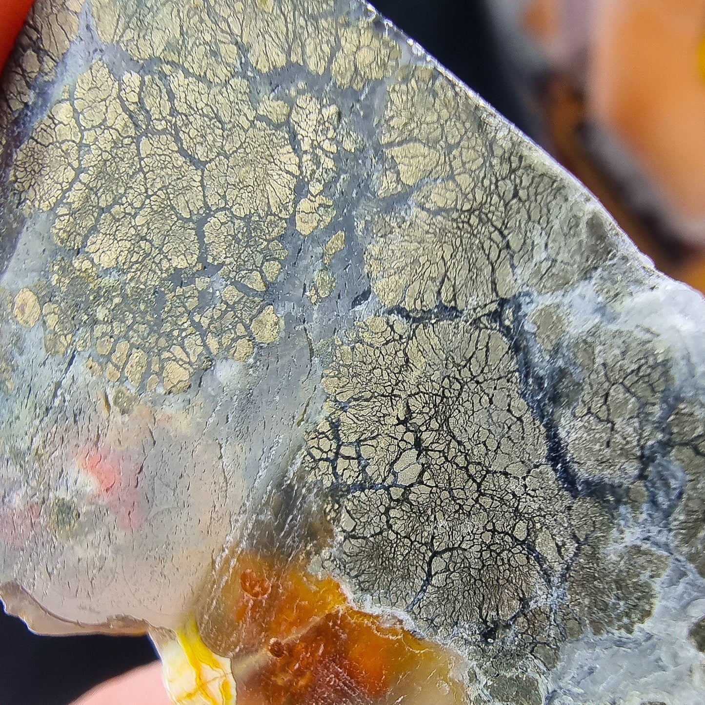 Pyrite in Chalcedony