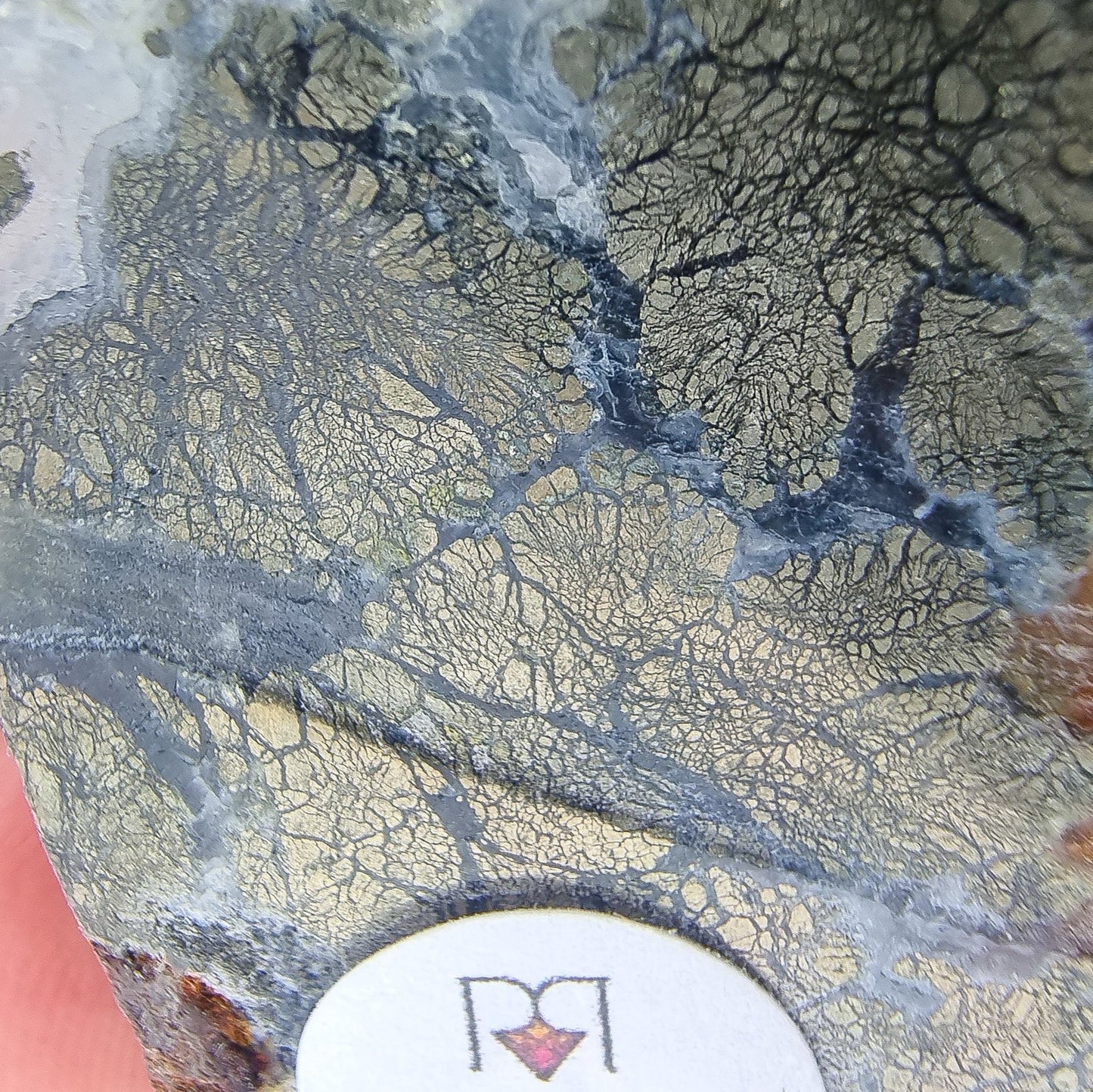 Pyrite in Chalcedony