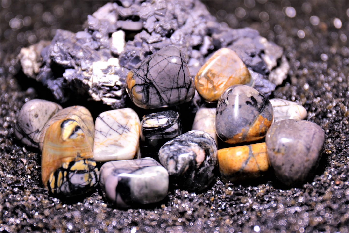 Picasso Jasper