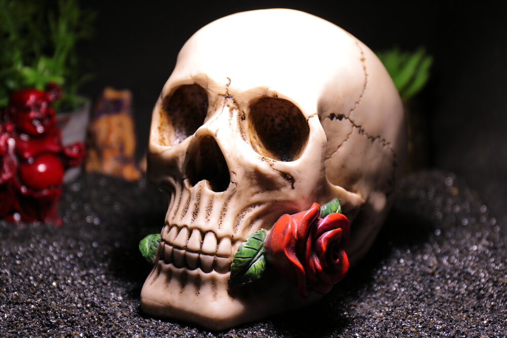 Rose from the dead