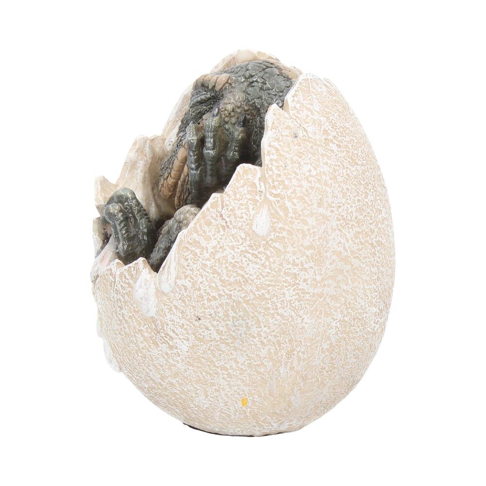 Wyrmlings Dinosaur Egg - First Light